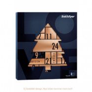 Satisfyer Deluxe Adventskalender 2023