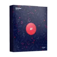 Satisfyer Deluxe Adventskalender 2024