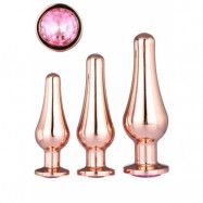 Gleaming Love Pleasure Plug Set, Rose Gold