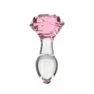 Rosy Luxurious Glass Anal Plug with Bonus Bullet