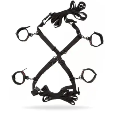 Scandal Over The Bed Cross