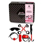 Secret Play Bondage Kit Two Colours RED