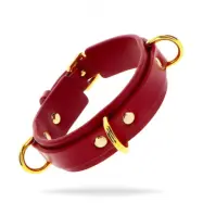 Taboom D-Ring Collar Deluxe