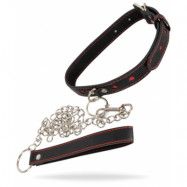 Bad Kitty Collar and Leash