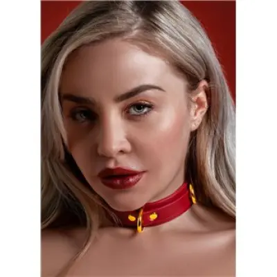 Taboom D-Ring Collar Deluxe Red