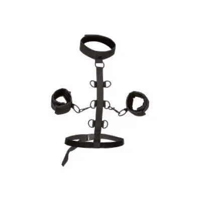 Calexotics Boundless Collar Body Restraint