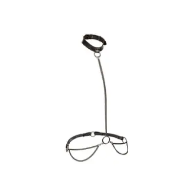 Calexotics Chain Halter & Collar Plus Black