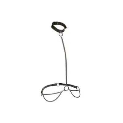 Calexotics Chain Halter & Collar Black