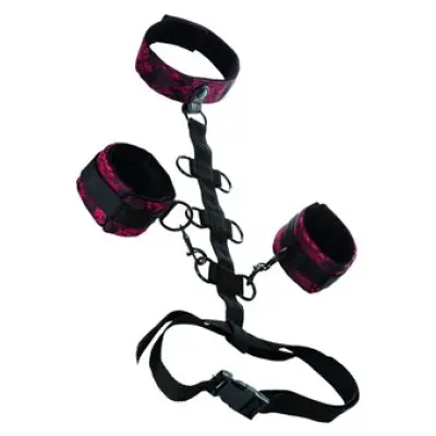 Calexotics Scandal Collar Body Restraint Black