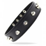 Collar Spikes Black