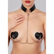 Collar with Detachable Pasties