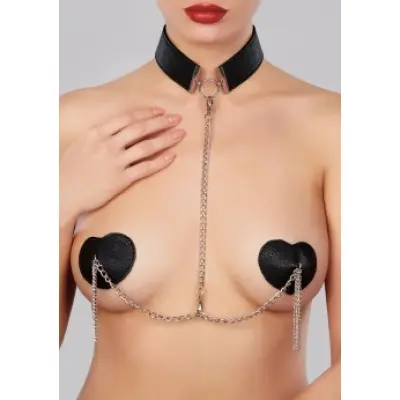 Collar with Detachable Pasties