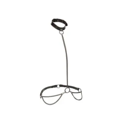 CALEXOTICS - EUPHORIA CHAIN HALTER COLLAR & LEASH