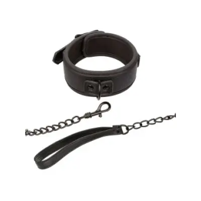 CALEXOTICS - NOCTURNAL COLLAR & LEASH LEATHER ADJUSTABLE BLACK