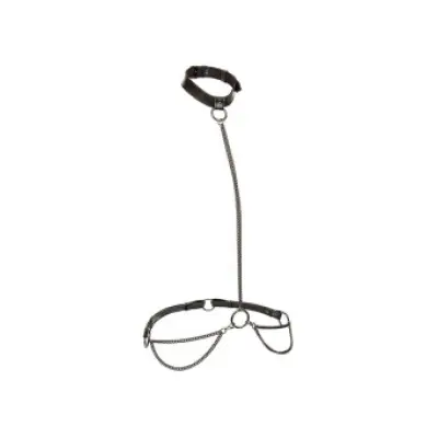 CALEXOTICS - EUPHORIA CHAIN HALTER COLLAR & LEASH PLUS SIZE
