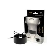 Coquette Chic Desire Vegan Leather Choker