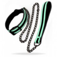 Glo Collar And Leash