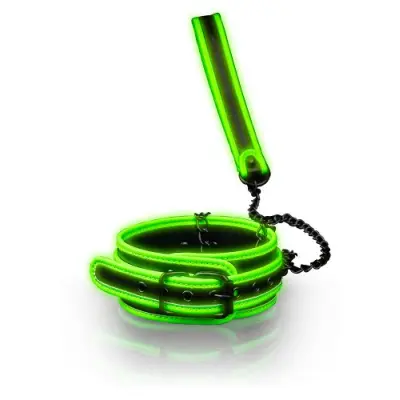 Glow in the Dark Collar and Leash