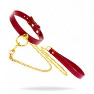 Taboom O-Ring Collar and Chain Leash