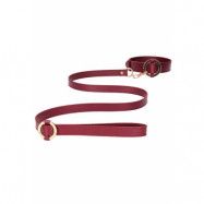 Ouch Halo Collar with leash