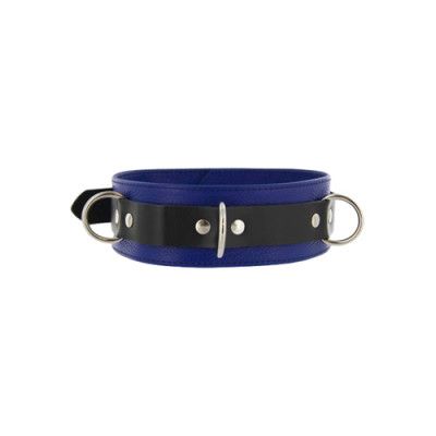 Strict Leather Deluxe Locking Collar - Blue and Black