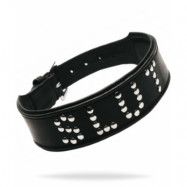 Studded Leather Slut Collar