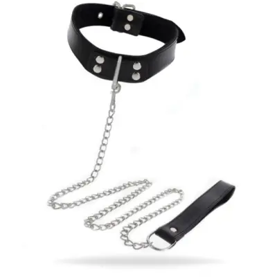 Taboom Elegant Collar and Chain Leash
