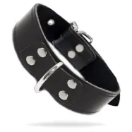 Taboom Elegant D-Ring Collar
