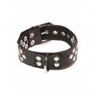 X-PLAY COLLAR WITH D-RING