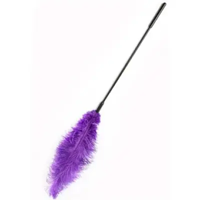 Hidden Desire Double Feather Tickler Purple