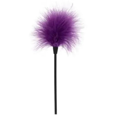 ToyJoy Sexy Feather Tickler PURPLE