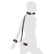 Bad Kitty Gag and Cuff Set