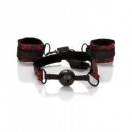 California Exotic: Scandal, Breathable Ball Gag with Cuffs