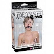 FETISH FANTASY EXTREME DELUXE BALL GAG & NIPPLE