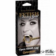 Gold Open Mouth Gag