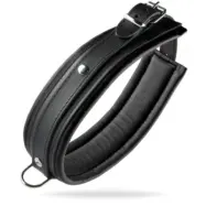 Halsband Läder