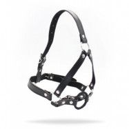 Head Harness Plus Ring Gag