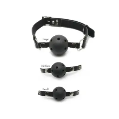 Fetish Fantasy Series Series Ball Gag Training System
