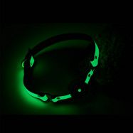 Radiant Ball Gag - Glow in the Dark