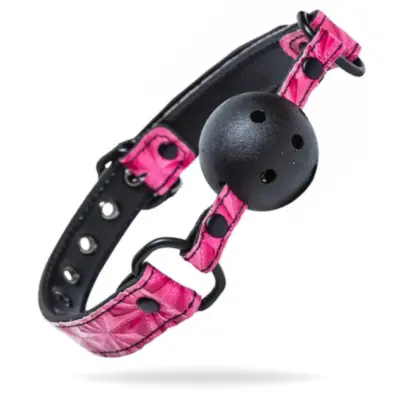 Sinful Ball Gag