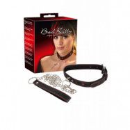 Bad Kitty Collar and Leash