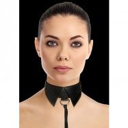 Collar with leash