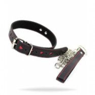 Easy Collar Leash