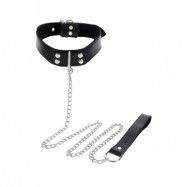 Elegant Collar & Chain Leash