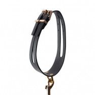 GP Premium Collar & Leash Set