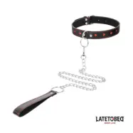 Heart Collar with Leash