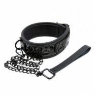 Los Angeles Collar n Leash