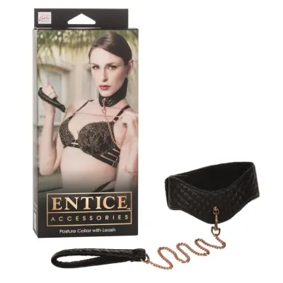 POSTURE COLLAR WITH LEASH