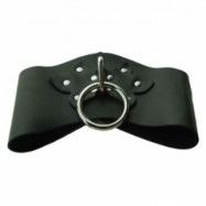 Spartacus Posture Collar Halsband