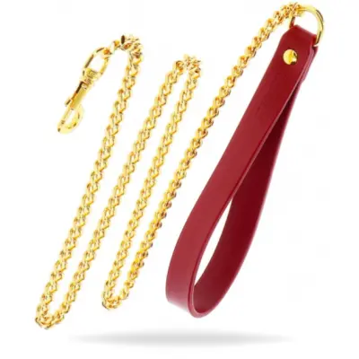 Taboom Chain Leash